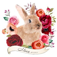 大切なペットのうさぎさんのお顔入りクリスタル製お位牌です うさぎ ウサギ ロップイヤーペット ペットグッズ ペット クリスタル クリスタル 送料無料 ガラス 位牌 おしゃれ ネザーランドドワーフ ギフト ペット 水彩画 オシャレ プレゼント ペット うちの子 写真 ペット 大切なペットのうさぎさんのお顔入りクリスタル製お位牌です うさぎ ウサギ ロップイヤーペット ペットグッズ ペット クリスタル クリスタル 送料無料 ガラス 位牌 おしゃれ ネザーランドドワーフ ギフト ペット 水彩画 オシャレ プレゼント ペット うちの子 写真 ペット