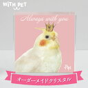 WiTH PET 鳥 グッズ インコ グッズ 文鳥 オカメインコ シロハラインコ セキセイインコ オーダーメイド 手描き風 ティアラ クラウン 送料無料 クリス...