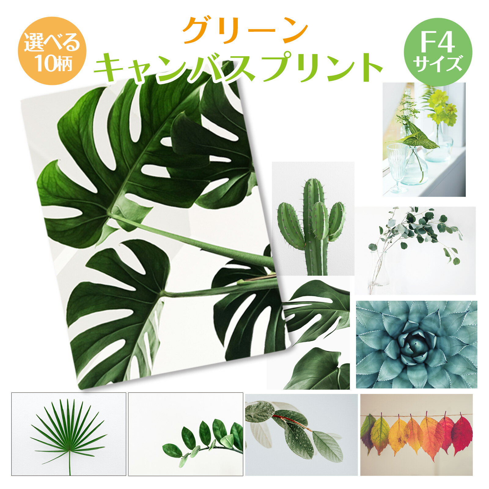 アート パネル 絵 モダン 植物 グリーン サボテン 観葉植物 モンテスラ おしゃれ F4 アートパネル 送料無料