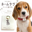 ペット札 迷子札 ネーム札 オリジナル 送料無料 ペット 犬 猫 オリジナルグッズ ペットグッズ 名入れ WiTH PET パステルカラー かわいい