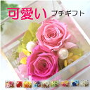 【営業日14時迄当日発送】プリザーブドフラワー プチギフト 花 ギフト 小さい 仏花 ミニ お供え ペット お悔やみ 虹の橋 バラ 電報 フラワーギフト ブリザ...