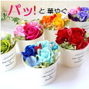 【営業日14時迄当日発送】ソープフラワー 誕生日プレゼント 母親 祖母 女性 お誕生日 花 ギフト お祝い 60代 女性 50代 男性 80代 故人 お悔やみ ...