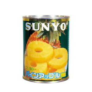 パインアップル サンヨー 24缶 565g パイン缶 パインアップル 最安値 送料無料 賞味期限2027.2.1 エコイート 通販 フルーツ缶 お得 食品ロス削減 社会貢献