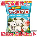 選べる個数♪【スヌーピーマシュマロ】 賞味期限2025年9月13日 1袋65g 12個 24個 スヌーピービッグマシュマロ 送料無料 訳あり 賞味期限間近 食品ロス エコイート フードロス 食品ロス削減 日本もったいない食品センター