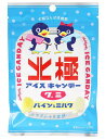 【北極アイスキャンディーグミ】 パイン&ミルク 36g 賞味期限2025年11月27日 冷やして おいしい エコイート 通販 メール便 送料無料 最安値 大人気...