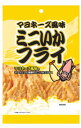 【ミニいかフライ5袋】マヨネーズ風味 30g×5袋 賞味期限2025年10月9日 送料無料 メール便 おやつ おつまみ アテ あて スナック菓子 エコイート 数...