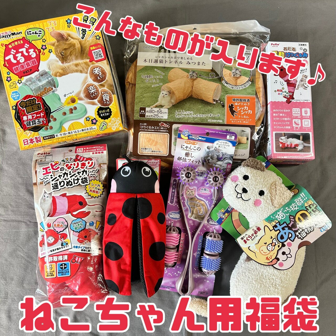 猫 おもちゃ【ねこ おもちゃセット】福袋 福箱 売り尽くし 訳あり おもちゃ 玩具 服 ボール ぬいぐるみ けりぐるみ えび エビ ペット用品 猫 ギフト プレゼント 詰め合わせ お買い得 送料無料 エコイート 通販 日本もったいない食品センター