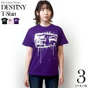 DESTINY (ディスティニー) Tシャツ (パープル) - The Ghost Writer - tgw003tee-pu -F- 半袖 紫色 パンクロックTシャツ パンキッシュ カジュアル かっこいい おしゃれ オリジナル グラフィック メンズ レディース ユニセックスブランド コットン綿100%【RCP】