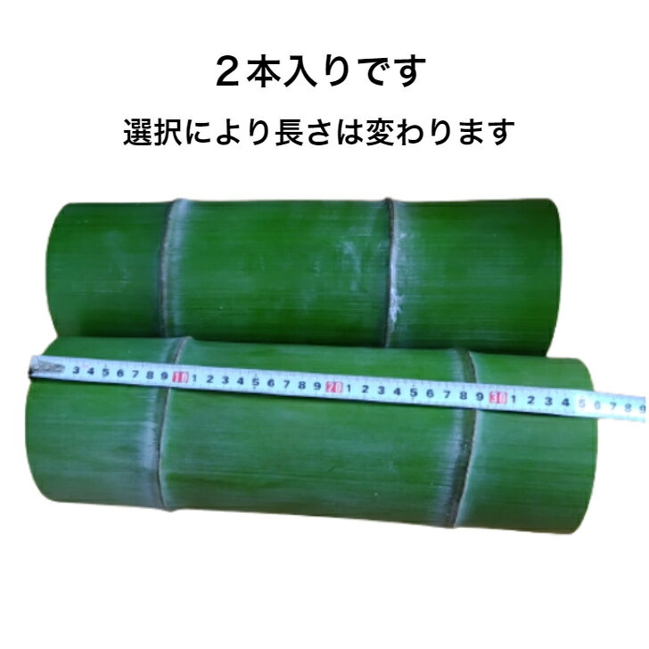 【送料別】 竹材 孟宗竹 太い 選択 8〜12センチ2本 DIY 手作り 竹工芸 竹あかり 工作 小学生 高学年 大人 竹 ハンドメイド キット おうち時間 連...