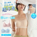 送料無料 接触冷感 夏ブラ 涼しい ノンワイヤー ブラジャー 軽量 吸汗速乾 ひびきにくい ワイヤレス ノンワイヤーブラ 下着 ムレにくい ベタつきにくい ひんやり ブラ ナイトブラ 涼しい シームレス 肌着 ゴルフウェア レディース