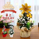 送料無料 卓上 ミニツリー 20cm 2個セット クリスマスツリー 北欧 小型 クリスマス飾り オーナメント付き tree イベント xmas クリスマス パー...