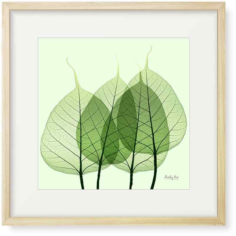 Rakuten - 絵画「葉脈」インテリア 絵 花 アートパネル 額入り