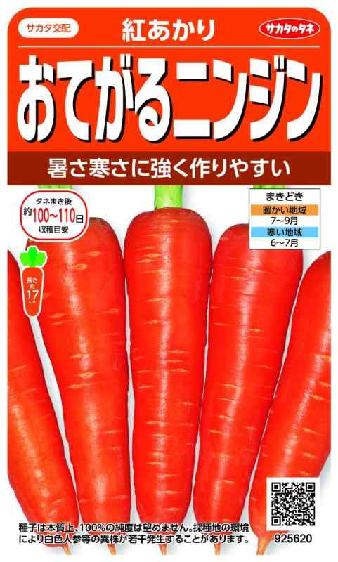 樂天商城 - サカタのタネ 実咲野菜5620 おてがるニンジン 紅あかり 00925620