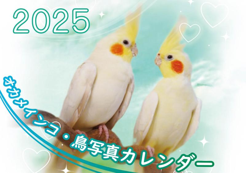 乐天商城 - オカメインコ鳥写真カレンダー2025　B6サイズ。ワンタッチで卓上にも壁掛けにもなる3Wayカレンダー