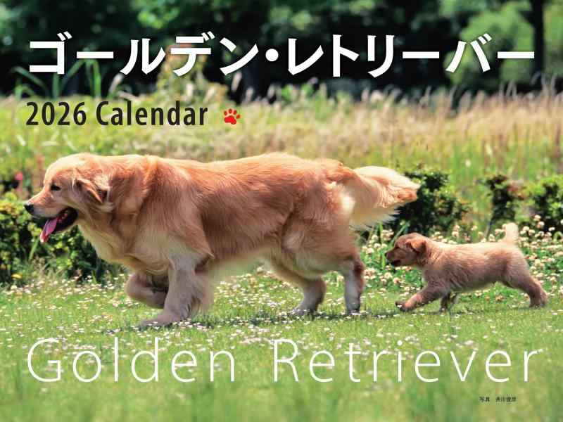 Rakuten - 2026年カレンダー ワイド判 ゴールデン・レトリーバー (誠文堂新光社カレンダー)