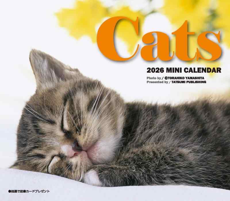 Rakuten - 2026　ミニカレンダー　キャッツ