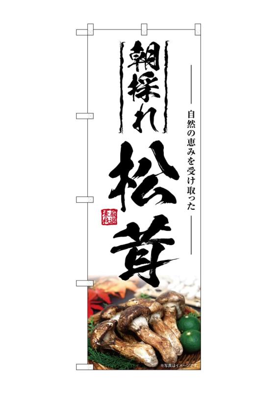 Rakuten - のぼり屋工房(Noboriyakobo) SNB-7427 松茸 朝採れ W600×H1800mm 1 枚 三方三巻 ポンジ 商売 繁盛 受注生産品