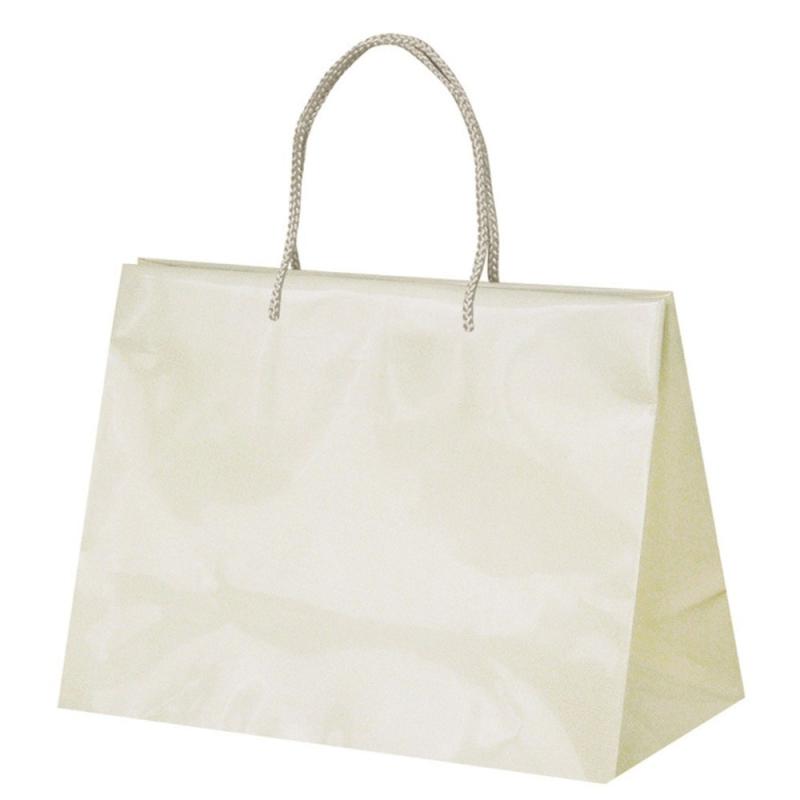 Rakuten - キュービックス ポリバッグ 無地 グロッシー M 10枚 ネイビー 992915-08 parent