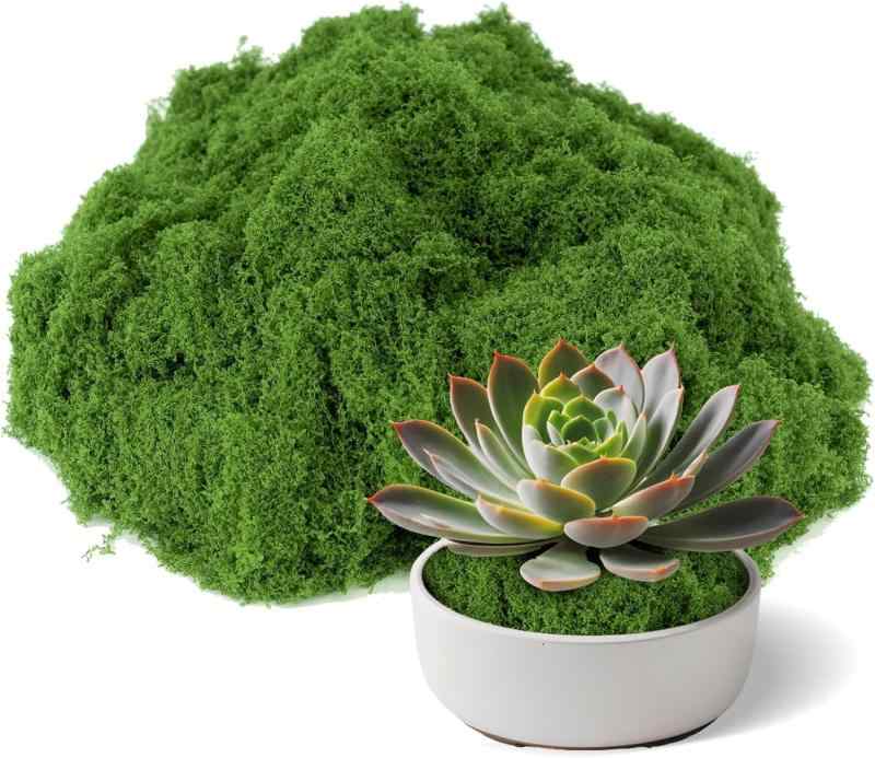 乐天商城 - himsyuden フェイクモス 人工苔 フェイクグリーン 200g 人工コケ 人工観葉植物 モス グリーン ジオラマ 装飾 水族館 パティオ 鉢植え 観葉植物 庭園 造花 DIY装飾用草 灌木 低木 茂み ミニチュア
