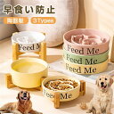 早食い防止食器 食器台 ペットボウル ペット フードボウル フードボウルスタンドセット 食器 陶器