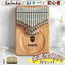 カリンバ 41音 24音 初心者セット 親指ピアノ サムピアノ 楽譜 教本 入門書 ケース 指サック チューニング済み チューニングハンマー チューナー 楽器 ...