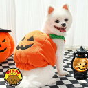 犬 服 ハロウィン コスチューム ハロウィーン 仮装 ドッグウェア 小型犬 中型犬 犬服 犬の服 着ぐるみ コスプレ かぼちゃ カボチャ