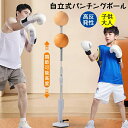 パンチングボール、自立式 パンチングボール ドイツプロボクシングセット 子供/大人用 ボクシング 吸盤 高反発ボクシング ボクシング練習 静音仕様 高さ調節可能、高速リバウンド 強力な吸着力 レザー柔らかくて耐久性があり(4)