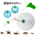虫取り 昆虫キャッチャー 虫除け器 捕虫器 虫捕り スティック 殺虫剤不要 害虫駆除器 虫虫ゲッター 手持ち式害虫捕獲器 蜘蛛の捕獲器 ハンドヘルド昆虫トラップ 昆虫掃除機 スパイダーキャッチャー 屋外 園芸用 キッチン用 軽量 携帯便利