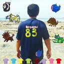 \チーム割10%OFFクーポン発行中/名入れTシャツ オーダー 名入れ 背番号 ドライ tシャツ プリント 1枚から 速乾 キッズ レディース メンズ オリジナ...