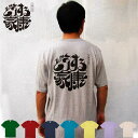 大河ドラマ「どうする家康」 ロゴ ライセンス商品 Tシャツ コットン 綿100％ 半袖Tシャツ メン ...