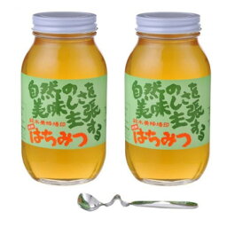 鈴木養蜂場　はちみつ　大瓶2本セット(菜の花1.2kg、レンゲ1.2kg、はちみつスプーン)　メーカ直送品　　代引き不可/同梱不可