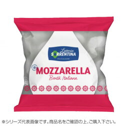 ラッテリーア ソッレンティーナ　冷凍　牛乳モッツァレッラ　ひとくちサイズ　250g　16袋セット　2035　メーカ直送品　　代引き不可/同梱不可