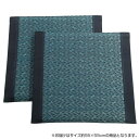 い草クッション 約55×55cm 2枚組 SEN6209102 BL メーカ直送品 代引き不可/同梱不可