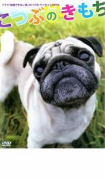 &nbsp;出　演&nbsp;松本まりか／平澤由美&nbsp;監　督&nbsp;平野康祐&nbsp;制作年、時間&nbsp;2007年&nbsp;36分&nbsp;製作国&nbsp;日本&nbsp;メーカー等&nbsp;ポニーキャニオン&nbsp;ジャンル&nbsp;趣味、実用／動物&nbsp;カテゴリー&nbsp;DVD&nbsp;入荷日&nbsp;【2026-04-17】※ジャケット(紙)には、バーコード・管理用シール等が貼ってある場合があります。ディスクはクリーニングを行い出荷します