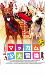捨て犬マッカムの大冒険【洋画 中古 DVD】メール便可 ケース無:: レンタル落ち