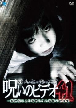 ほんとにあった!呪いのビデオ 41【邦画 中古 DVD】メール便可 ケース無:: レンタル落ち