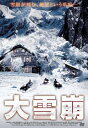 大雪崩【洋画 中古 DVD】メール便可 ケース無:: レンタル落ち
