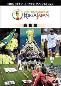 FIFA 2002 ワールドカップ オフィシャルDVD 総集編【スポーツ 中古 DVD】メール便可