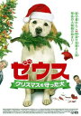 ゼウス クリスマスを守った犬【洋画 中古 DVD】メール便可 ケース無:: レンタル落ち