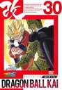 ドラゴンボール改 30【アニメ 中古 DVD】メール便可 レンタル落ち