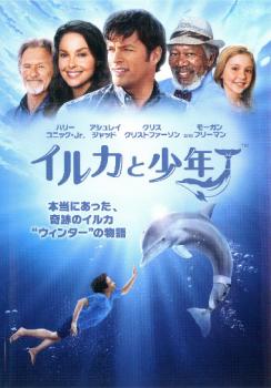 イルカと少年【洋画 中古 DVD】メール便可 ケース無:: レンタル落ち