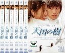 天国の樹(6枚セット)第1話~第12話 最終【全巻セット 洋画 中古 DVD】ケース無:: レンタル落ち 「売り尽くし」