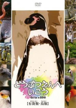 &nbsp;JAN&nbsp;4560207761150&nbsp;品　番&nbsp;MRDD015&nbsp;制作年、時間&nbsp;2007年&nbsp;60分&nbsp;製作国&nbsp;日本&nbsp;メーカー等&nbsp;スパイスビジュアル&nbsp;ジャンル&nbsp;趣味、実用／子供向け、教育／動物&nbsp;カテゴリー&nbsp;DVD&nbsp;入荷日&nbsp;【2024-06-19】【あらすじ】動物園で人気の動物たちをカテゴリーごとに紹介するファミリー向けシリーズ第2弾。‘飛ぶ動物と袋を持つ動物’を代表する有袋類と鳥類の中からコアラ、カンガルー、フラミンゴ、ダチョウなどを紹介。羽村市動物園のペンギンの餌付けなども収録。※ジャケット(紙)には、バーコード・管理用シール等が貼ってある場合があります。※DVDケース無しです。予めご了承ください。ディスクはクリーニングを行い出荷します