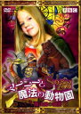 マーニーと魔法の動物園 3 魔法書の秘密【洋画 中古 DVD】メール便可 ケース無:: レンタル落ち 【ご奉仕価格】