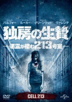 ��˼������ �������213�漼���β� ��� DVD�ۥ᡼���ز� ������̵:: ��󥿥����