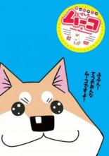 楽天市場】いとしのムーコ dvdの通販
