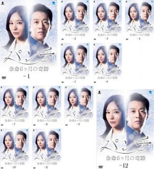 �ѥ�� ;̿6����δ���(12�祻�å�)��1�á���25�� �ǽ����������å� �β� ��� DVD�ۥ�����̵:: ��󥿥����