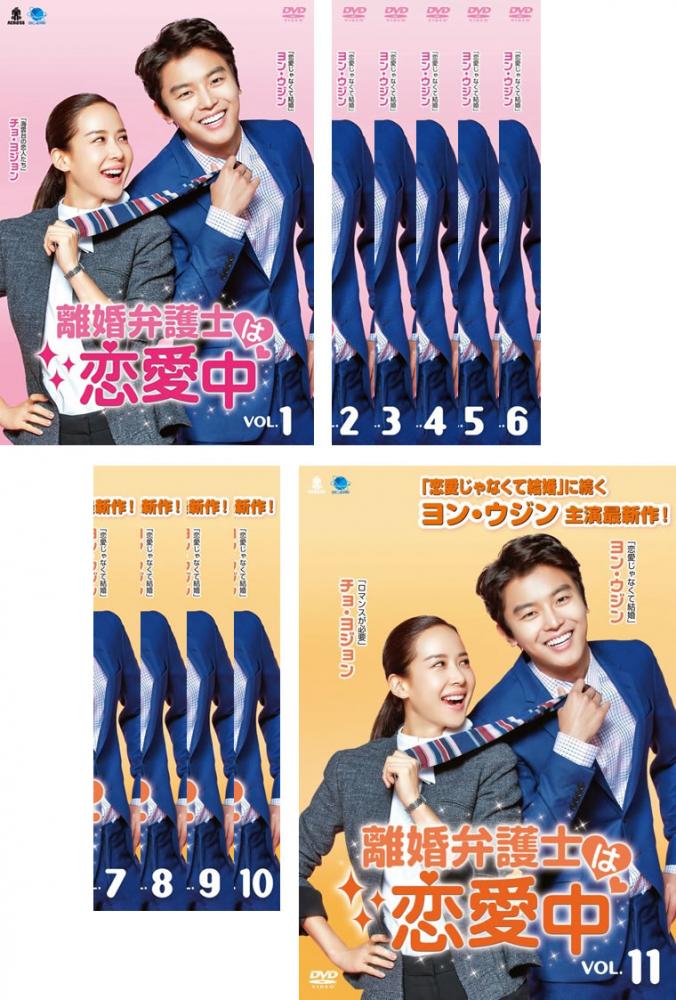 離婚弁護士は恋愛中(11枚セット)第1話〜第22話 最終 字幕のみ【全巻セット 洋画 中古 DVD】ケース無:: レンタル落ち 「売り尽くし」