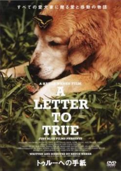 &nbsp;出　演&nbsp;ダーク・ボガード／エリザベス・テイラー／ハービー・フレッチャー&nbsp;監　督&nbsp;ブルース・ウェバー&nbsp;制作年、時間&nbsp;2004年&nbsp;78分&nbsp;製作国&nbsp;アメリカ&nbsp;メーカー等&nbsp;ビッグタイム&nbsp;ジャンル&nbsp;洋画／ドキュメンタリー／動物&nbsp;&nbsp;【泣ける 号泣】&nbsp;カテゴリー&nbsp;DVD&nbsp;入荷日&nbsp;【2025-09-29】【あらすじ】9.11の同時多発テロを憂い、ニューヨークへ残してきた愛犬・トゥルーへの手紙を通し、自身や隣人たちのドラマを綴っていく※ジャケット(紙)には、バーコード・管理用シール等が貼ってある場合があります。※DVDケース無しです。予めご了承ください。レンタル落ちの中古品ですディスクはクリーニングを行い出荷します