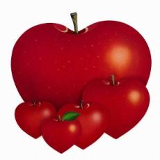 樂天商城 - アイのうた 5【CD、音楽 中古 CD】メール便可 ケース無:: レンタル落ち